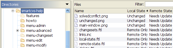 Remote State with remote-only files and directories