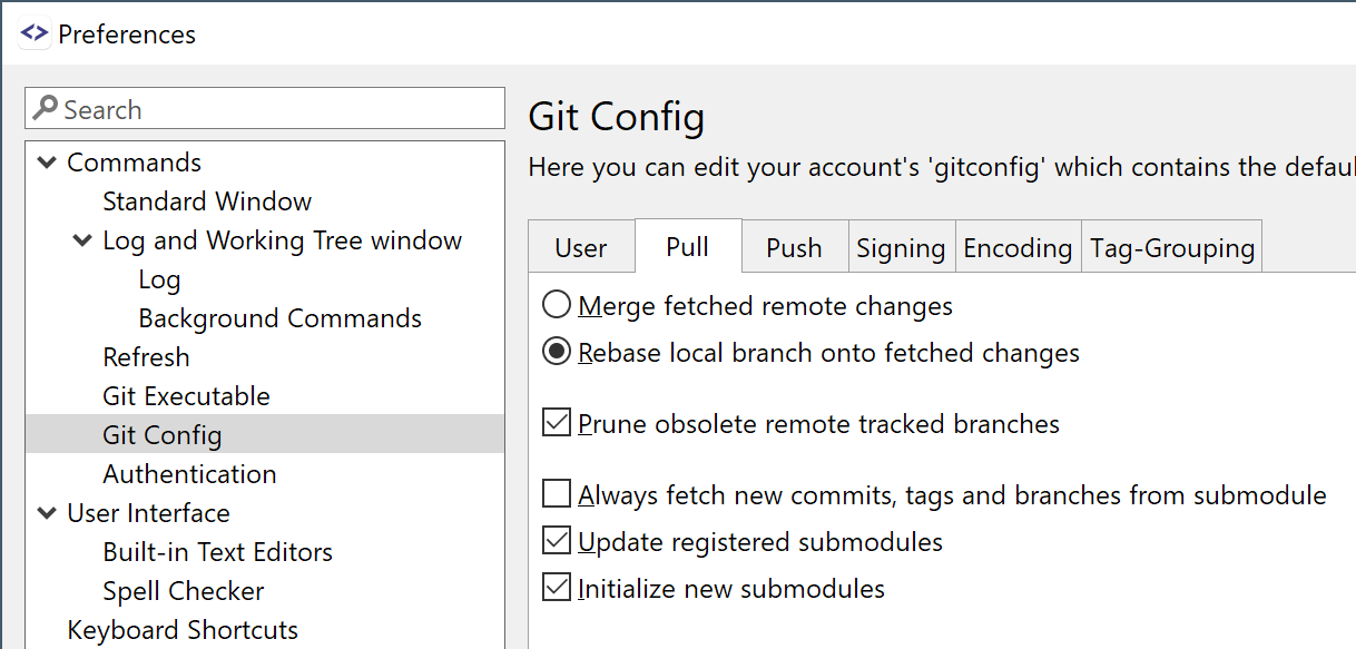 The Git user config in the preferences.